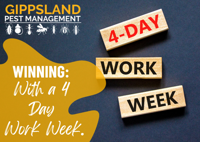 Winning with a four-day work week